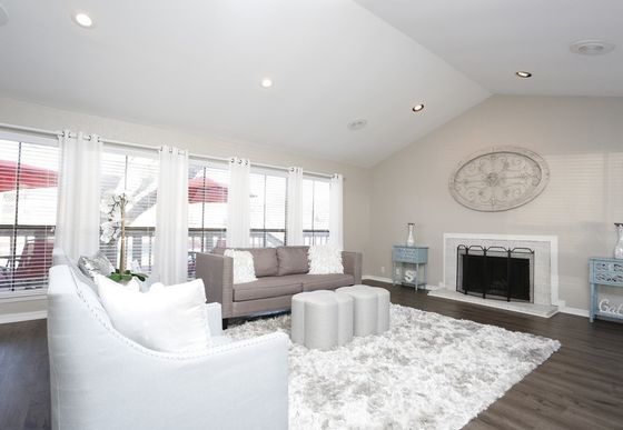 Bright and inviting living room with modern furniture, plush rug, cozy fireplace, and large windows allowing ample natural light.