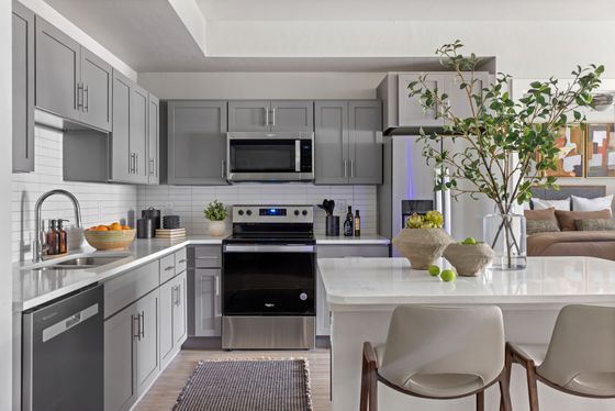Modern kitchen with sleek gray cabinets, stainless steel appliances, and elegant countertop featuring decorative plants and stylish seating.