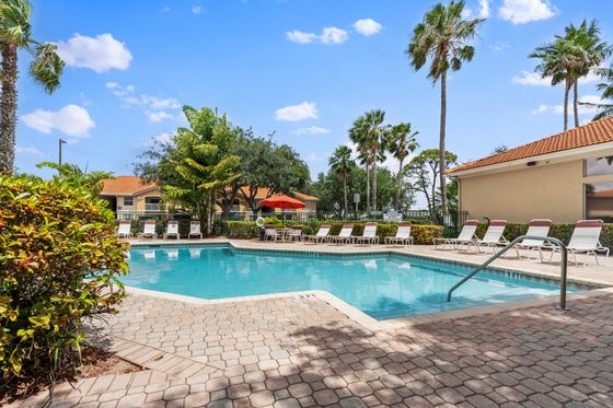Inviting outdoor pool area with sun loungers, surrounded by lush palm trees and vibrant greenery, perfect for relaxation under a clear blue sky.