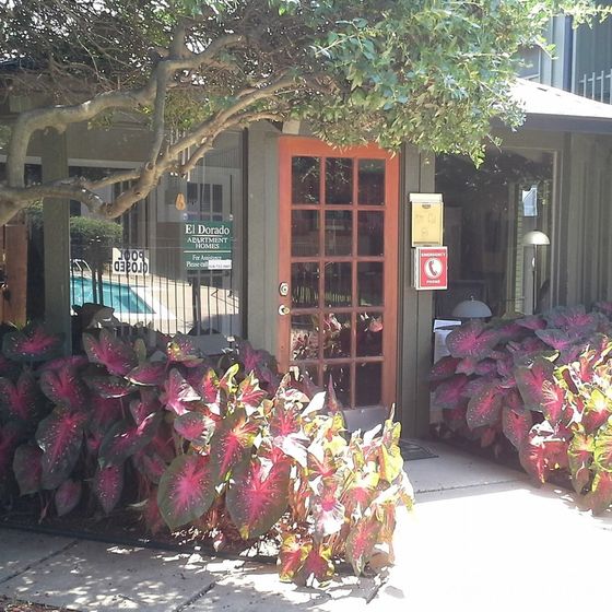 Charming entrance to El Dorado Apartment Homes with vibrant greenery and inviting natural light.