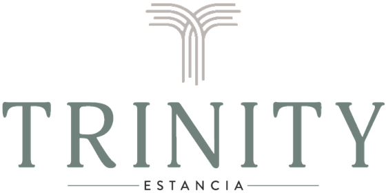 TE Logo