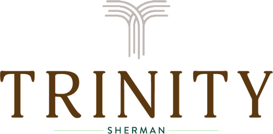 Elegant Trinity Sherman logo with a stylized tree design, showcasing a refined and sophisticated brand identity.