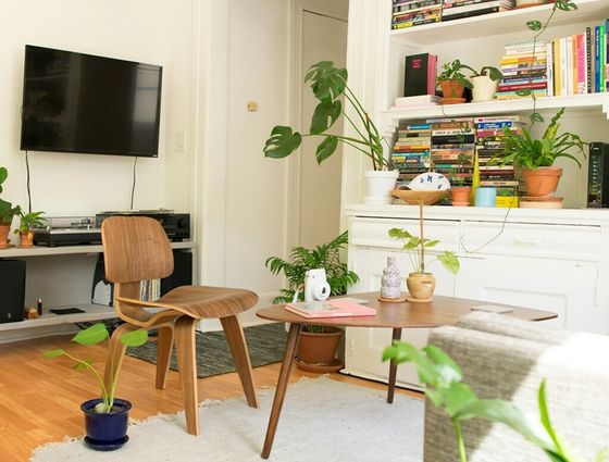Chic and cozy living space with modern wooden chair, elegant coffee table, and vibrant plant decor creating a serene atmosphere.