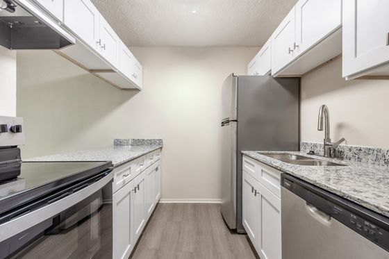 Modern Kitchen Interior