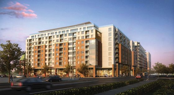 The Standard at Gainesville, exterior, high rise building, brick, trees,