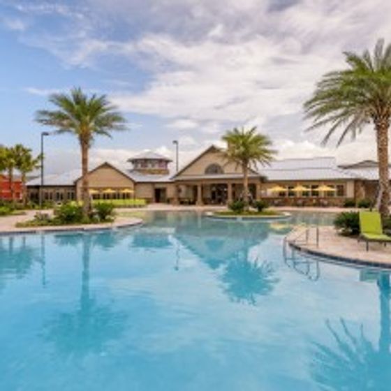 The Retreat at Gainesville, exterior, sparkling blue swimming pool, palm trees, tan building exterior
