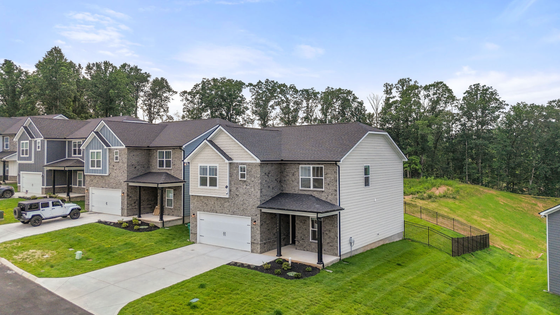 Charming suburban homes with modern architecture, spacious driveways, and lush greenery in a serene neighborhood.