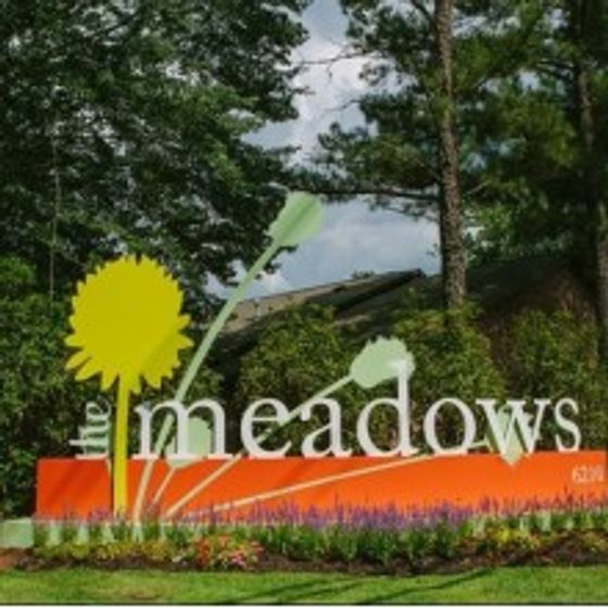 olorful entrance sign for The Meadows apartment community, featuring large yellow and orange flowers and the word 'meadows' in bold letters. The sign is surrounded by lush greenery and trees, with a clear sky in the background