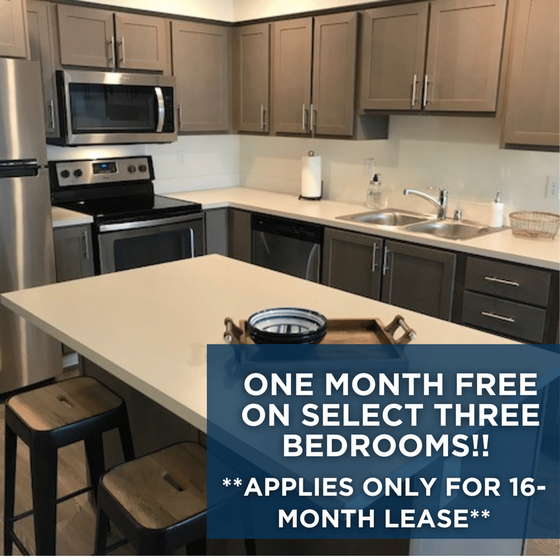 Leasing special