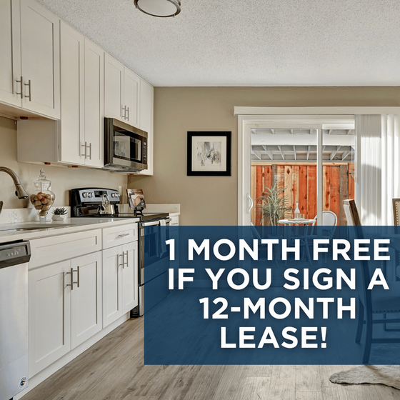 Leasing Special