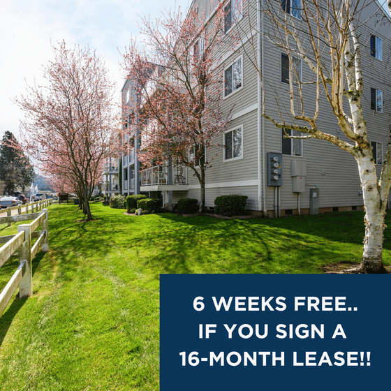 Leasing Special