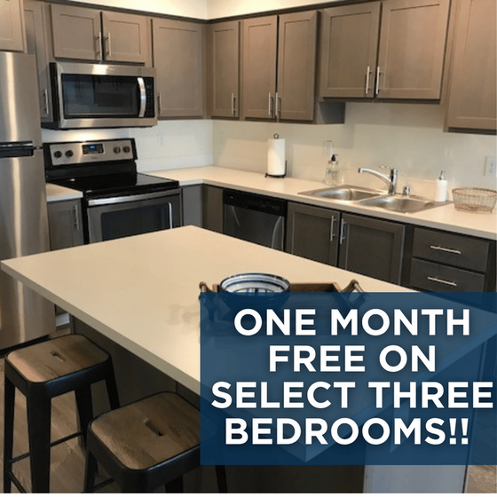 Leasing special!