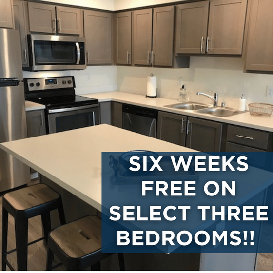 Leasing special!