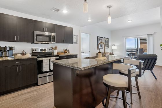 Contemporary open-plan kitchen with sleek dark cabinetry, granite countertops, and modern appliances, seamlessly connecting to a cozy living area with abundant natural light and stylish decor.