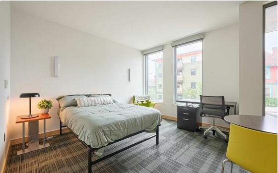 Bright and modern bedroom with stylish furniture, ample natural light, and expansive windows offering a serene view.