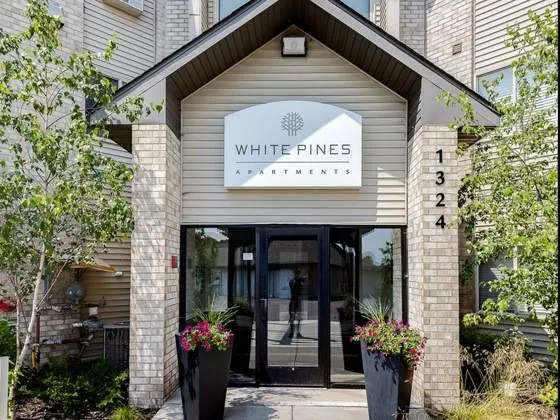 White Pines