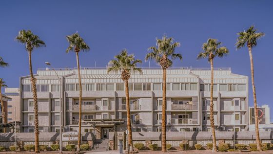 Modern apartment building with stylish balconies and palm trees, under a clear blue sky.