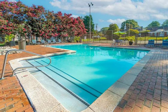 Inviting outdoor pool surrounded by lush greenery and cozy lounge chairs, perfect for relaxation.