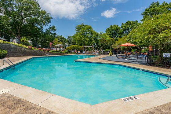 Inviting outdoor pool surrounded by lush greenery and comfortable lounge chairs, perfect for relaxation and leisure.