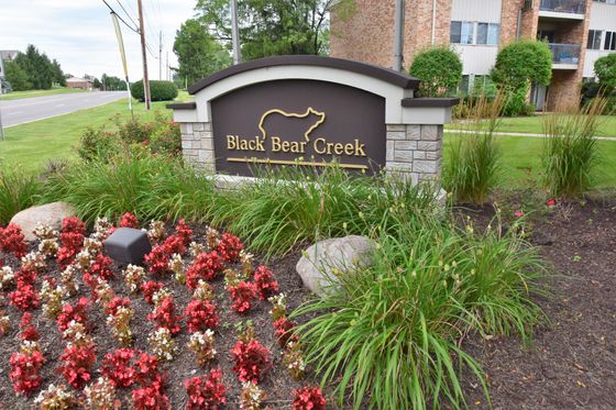 Black Bear Creek sign with ferns and flowers surrounding