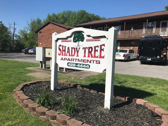 Shady Tree sign