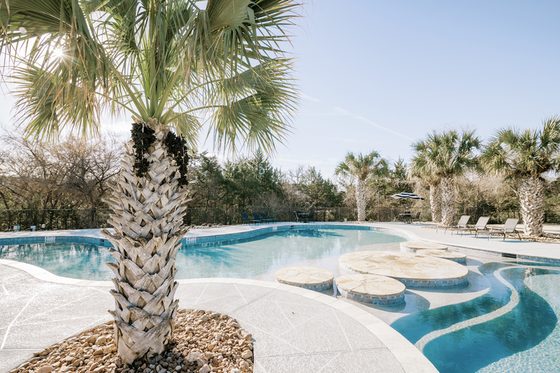 Luxurious outdoor pool surrounded by palm trees with sunlit loungers, perfect for relaxation and leisure.