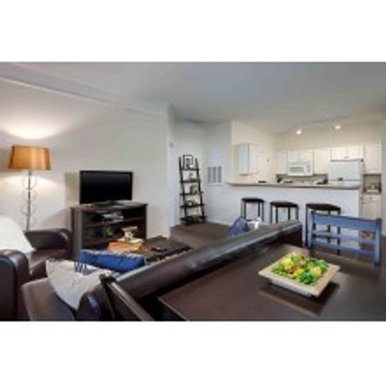 Contact The ProvinceKent