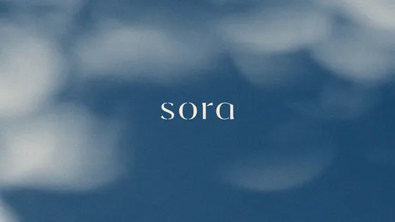 Elegant blue abstract background with the word 'sora' centered in sophisticated white font.