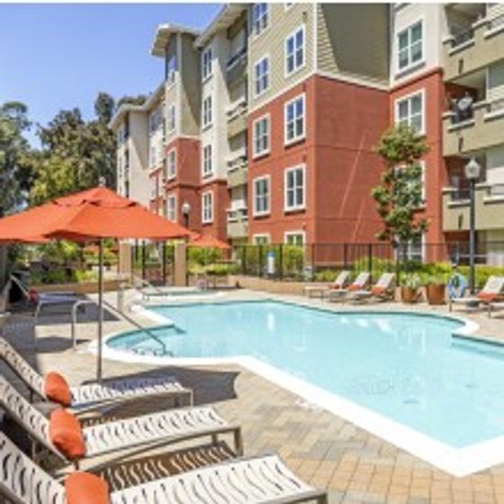 Pool and lounge area