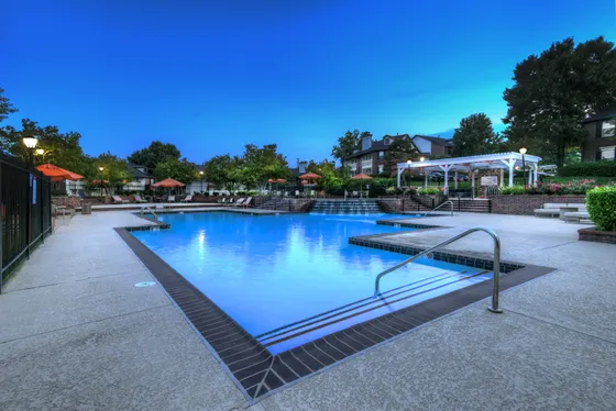 Resort Style Pool