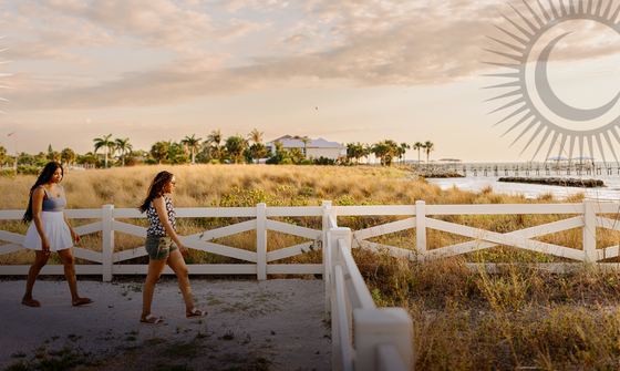 Scenic pathway along a serene beachfront with lush palm trees, perfect for a relaxing stroll against a stunning sunset backdrop.