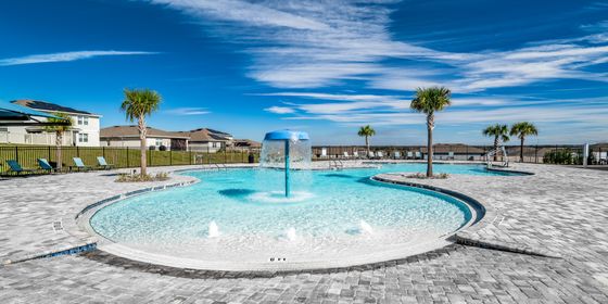 pic of pool on sunny day surrounded by palm trees gray patterned stone deck
