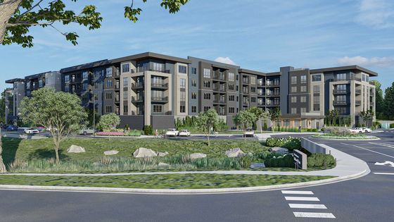 Blue lap rendering