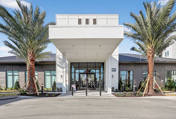 Modern apartment entrance surrounded by lush palm trees and contemporary architecture, offering a stylish and inviting ambience.