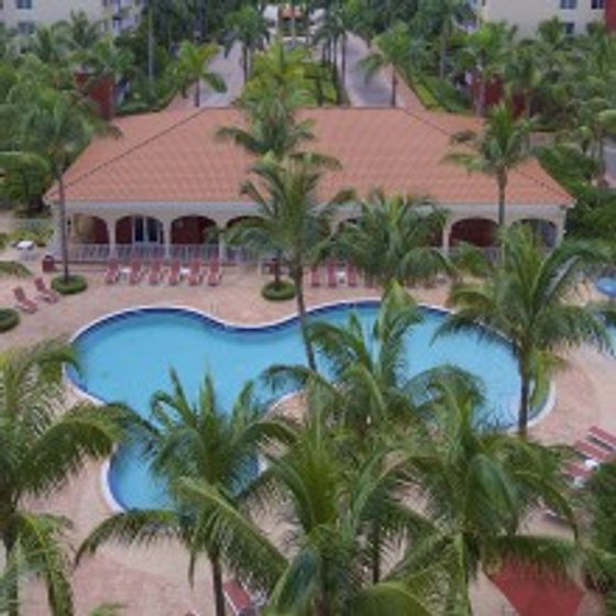 Royal Palms Apartments, exterior, aerial view, sparkling blue pool, palm trees, clubhouse