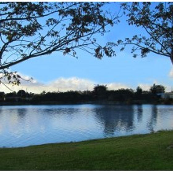 Sunshine Lakes Exterior | View of lake