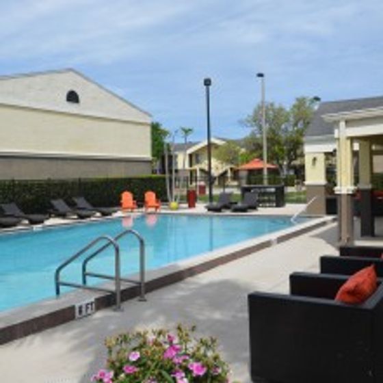 Pool Side Photo, Deck Chairs