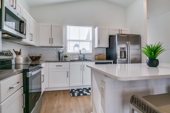 Contemporary kitchen with sleek white cabinets, stainless steel appliances, and a stylish breakfast bar accented by a vibrant potted plant.
