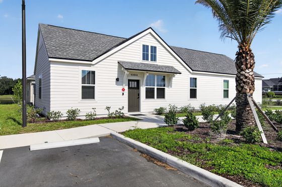 Charming single-story home with modern siding and a lush, landscaped front yard featuring a tall palm tree.