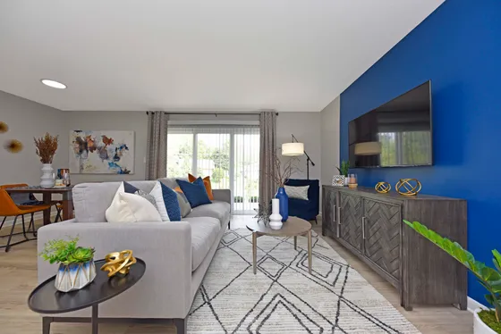 Chic living room with a modern gray sofa, vibrant blue accent wall, and large sliding glass doors offering plenty of natural light.