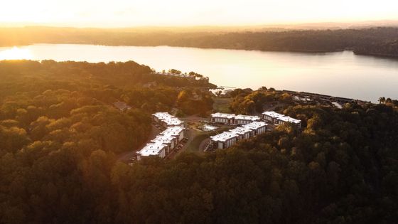 Breathtaking aerial view of modern apartments nestled in lush greenery by a serene lake at sunset.