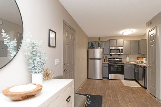 Modern kitchen with sleek stainless steel appliances, gray cabinets, and stylish decor, perfect for culinary enthusiasts.