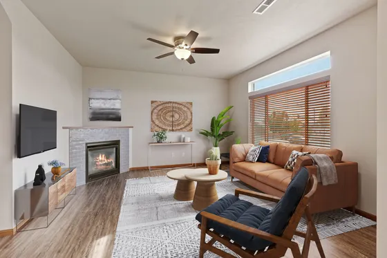Modern Living Room