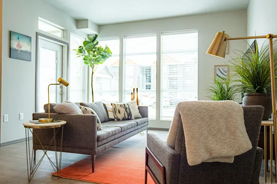 Elegant Living Room