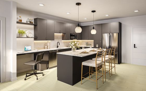 Modern Kitchen