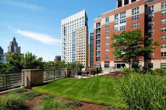 Sunny urban greenspace with modern high-rise buildings and lush gardens, perfect for outdoor relaxation and city living.