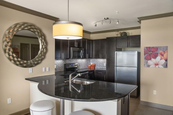 Elegant kitchen with sleek black cabinets, granite countertops, and modern stainless steel appliances.