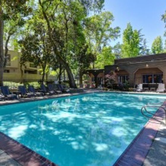 Large swimming pool and lounge deck edged with mature shade trees.