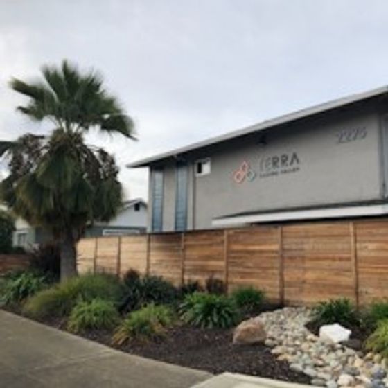 Terra Castro Valley exterior with palm tree and landscaping