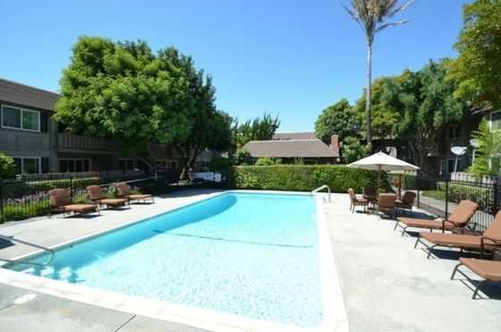 Sparking pool with blue skies and green trees